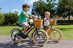 The Small Adam 16" Bike - Sage Gloss, Adam Bike
