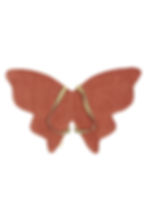 Dress Up Costume Organic Butterfly Wings - Ash Rose, Fabelab