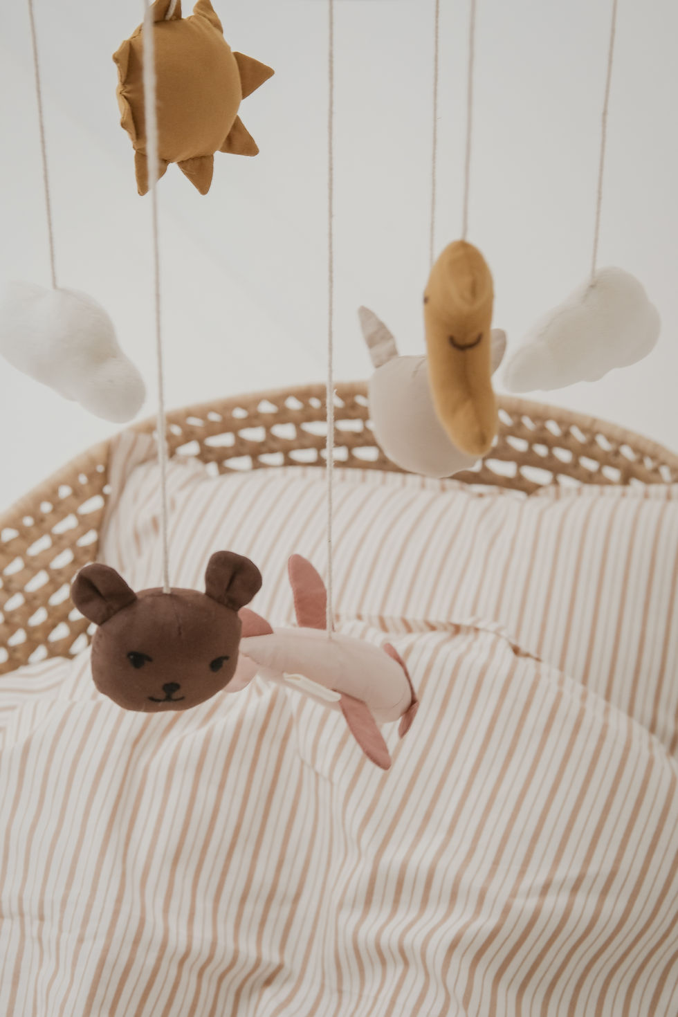 Baby Crib Mobile - In The Air Rose, Fabelab