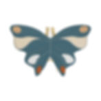 Dress Up Costume Organic Butterfly Wings - Blue Spruce, Fabelab