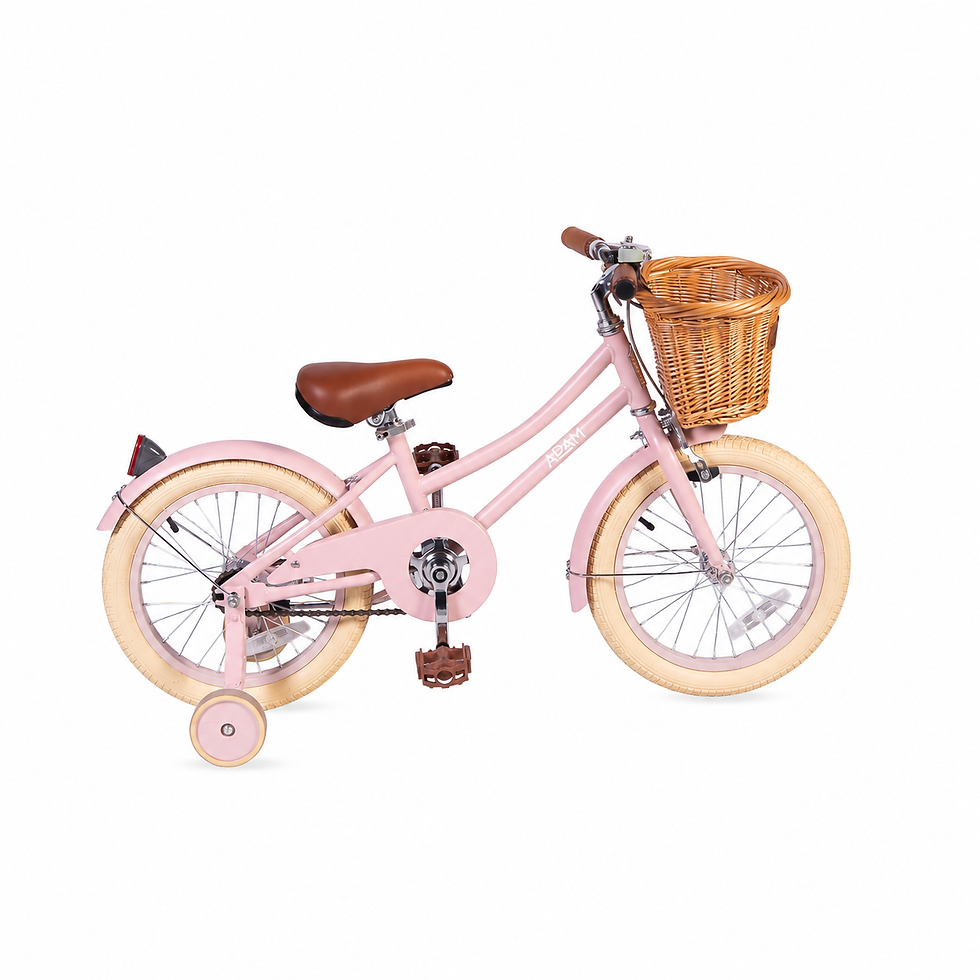 The 16" Dutch Style - Pink Matte Coaster, Adam Bike