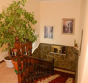 DSC_9886 (Copy).jpg