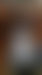 愛犬ミニチュアダックスフンド