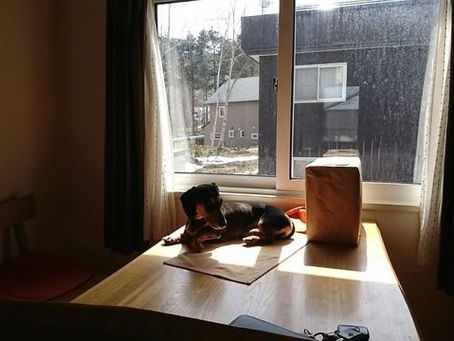 剣心君との出会い！