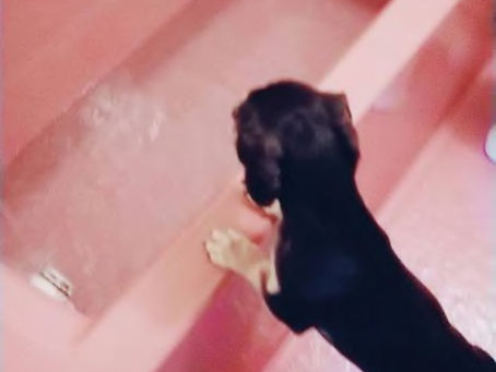 お風呂のお湯をチェック!