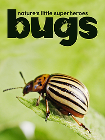 Bugs: Nature's Little Superheroes