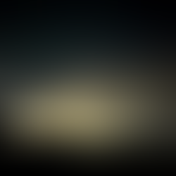 end up in || joshua tree