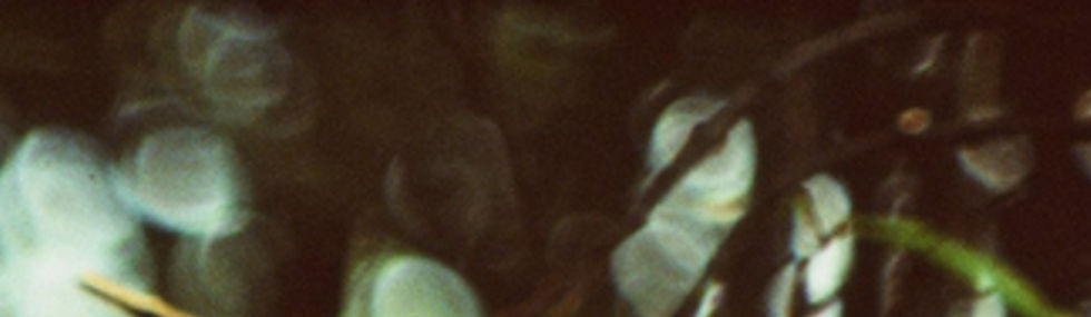 photo 16-03-24, 15 37 04 (14).JPG