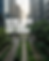 Nature-Based Solutions Asia Summit 2027 | 3-DAY Pass