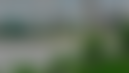 Free Speech in Private Sector Begs for Free Market Solutions