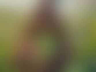 St. Methodius of Olympus: The Vegan Life is Pure and Righteous. By Dr Chapman Chen