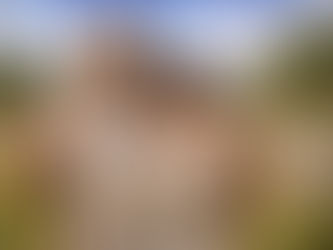 Must All Action Against Tyranny Cease Because Animals May Suffer? (Part I). By Dr Chapman Chen