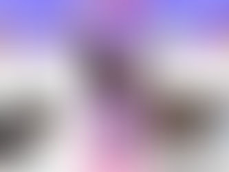 監察力量：保護遺棄動物協會愛克警定愛動物？（投稿）