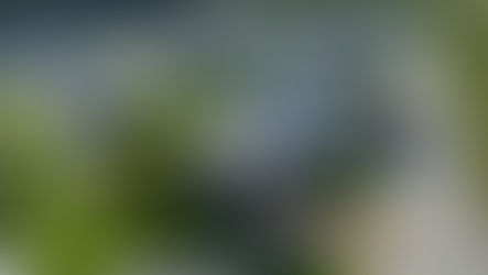 Manufactured homes in a California mobile home community