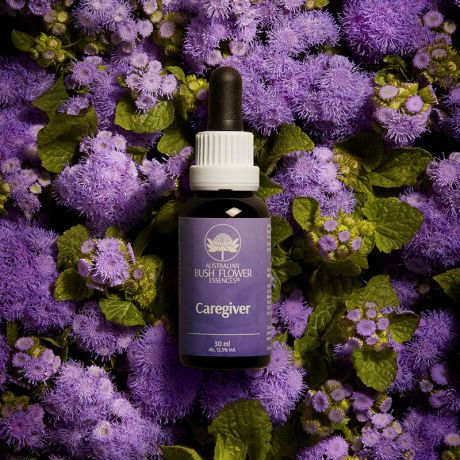 Bush Flower - Caregiver - Accudire gli altri