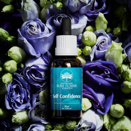 Bush Flower - Self Confidence - Timidezza