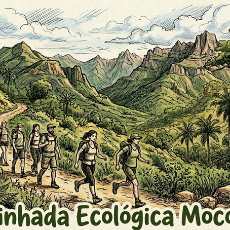 1ª Caminhada Ecológica Mococa Hub