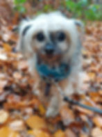 Molly