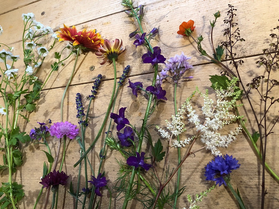 Woods Hill Cutting Garden