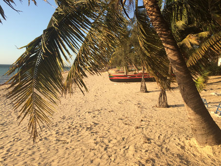 Expedícia Madagaskar