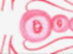 PART2_edited.jpg