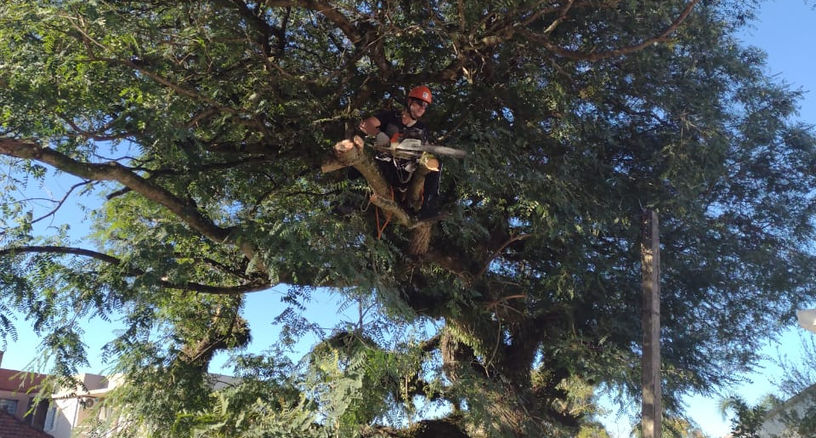 WhatsApp Image 2021-05-04 at 15.56.19 (2).jpeg