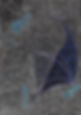 Figure 5, Slow mo breaking temporal curves, Bariya 2022.jpg