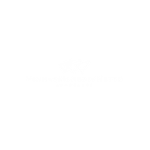 Vinhas Menezes.png