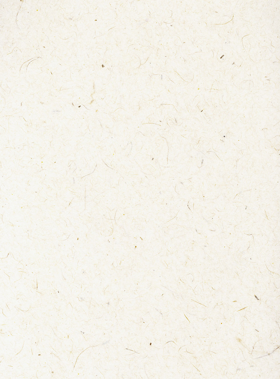 back_paper.jpg