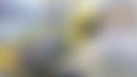 A year ahead: Belgium lowers voting age to 16 for the European elections