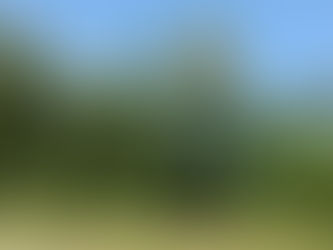 The cycling in Parma was ... 