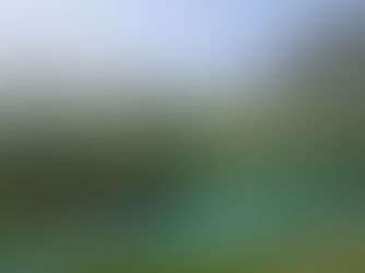 Rowing and picnicking at Trubsee