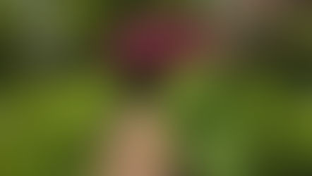 One-off English classes