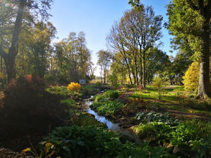 Things to do if you go to England