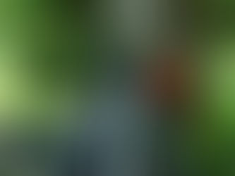 A weekend in the French part