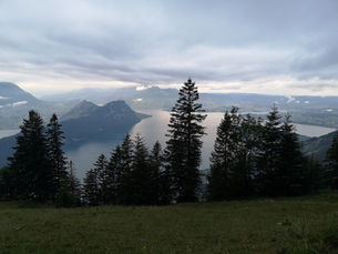 Have you ever hiked in the moonlight?