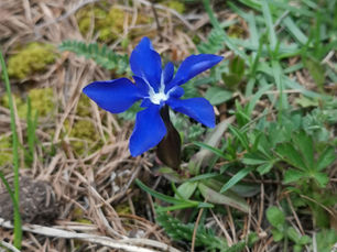 Hiking in the Swiss National Park