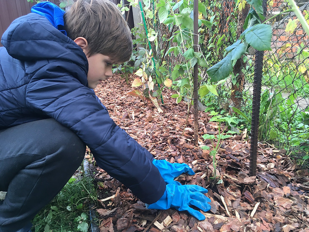 The Best Types of Mulch for Your Home in Perth