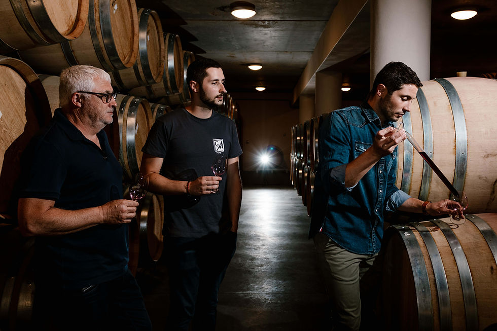 domaine-gerin-degustation