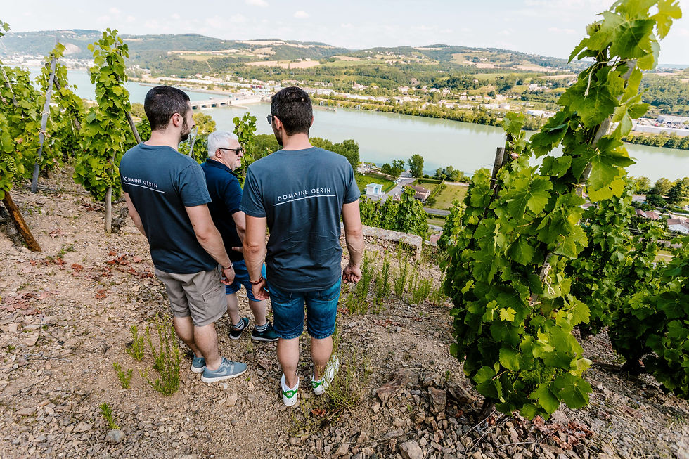 domaine-gerin-vue-ampuis