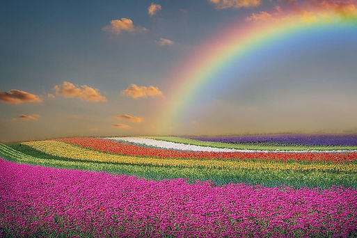 spring-landscape-flowers-rainbow.jpg