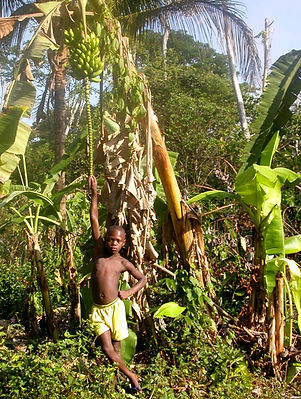 peoples Ndyuka boy with banana tree_Anakonde_French Guiana 2003.jpg