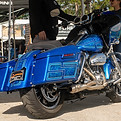 DSC08977.jpg