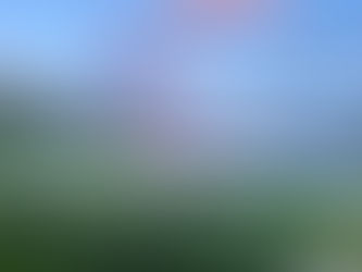 Update on Red Lady and Thompson Divide