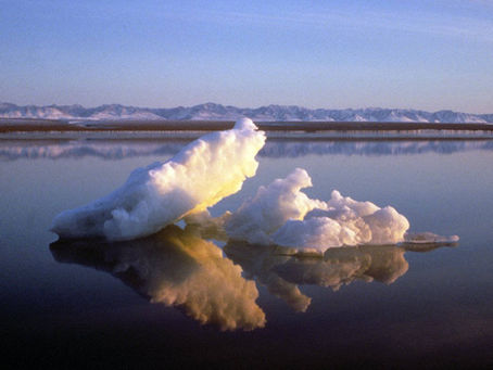 Laptev Sea Stubbornly Ice-Free