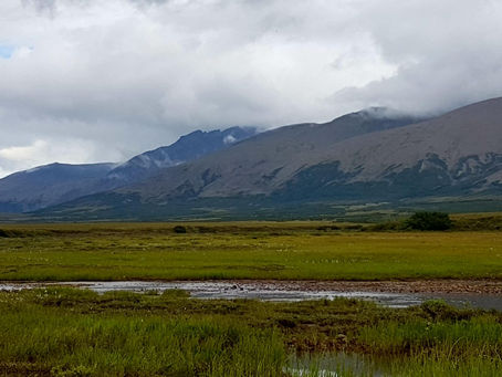 Protecting Subsistence Resources in the Imuruk Basin