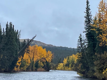 The Norton Bay Watershed Temperature, Dissolved Oxygen, Instream Flow and Policy Project