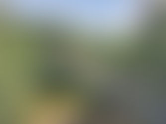 Nieuwe attractie in de Ardennen: de Himalayabrug van Sainte-Cécile, op slechts 20 minuten van Bouillon
