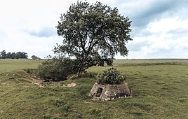 Niet uit de lucht gegrepen
