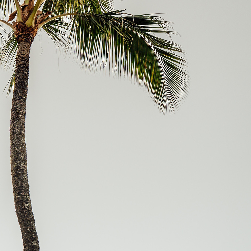 josh-miller-lKdrxnoymxo-unsplash.jpg